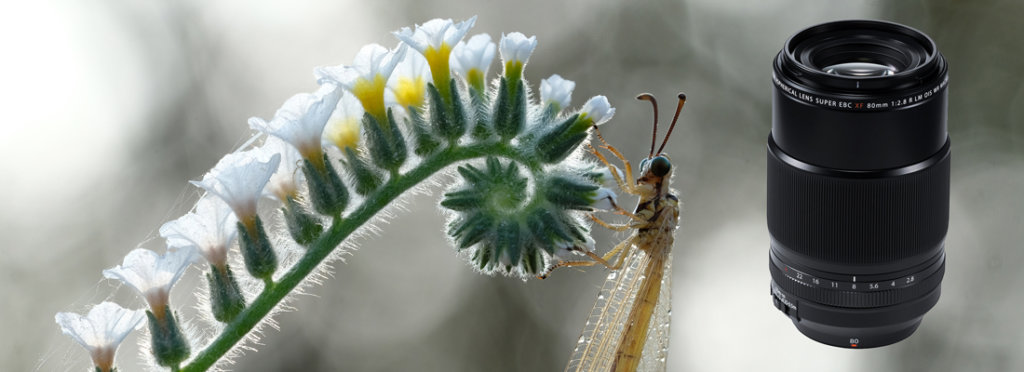 FUJINON XF 80mm F2.8 R LM OIS WR Macro jetzt neu bei Foto Seitz in Nürnberg